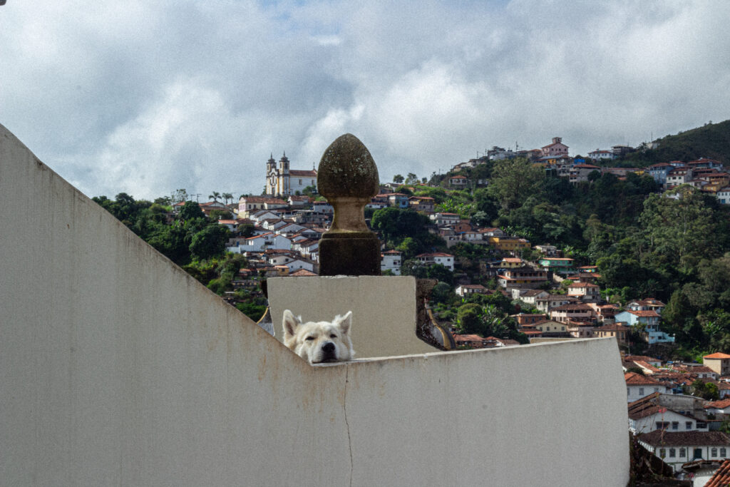 ouropreto16052025 5